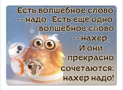 Красивые и прикольные картинки ПРО ХАРАКТЕР с надписями и смыслом в 2023 г  | Смешные таблички, Поддерживающие цитаты, Вдохновляющие цитаты