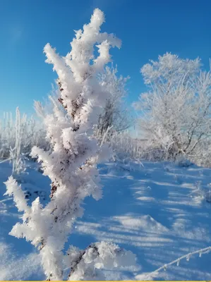 Зима пришла! Счастья! Здоровья! Любви!!! #зима #спервымднемзимы🎅⛄ #с1... |  TikTok