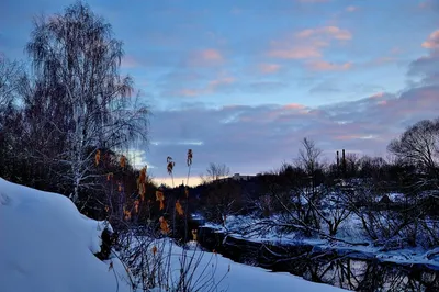 Ксения Алферова показала архивное фото отчима Александра Абдулова в день  его 70-летия | РБК Life