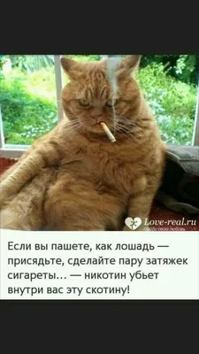 Смешные картинки