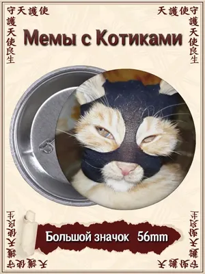 Смешные коты (60 фото)