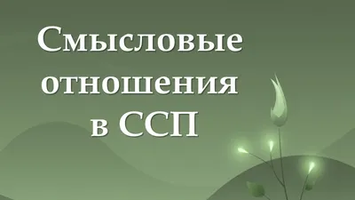 Умер экс-гитарист рок-группы \"Смысловые галлюцинации\" - РИА Новости,  27.12.2023