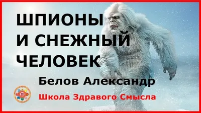 Лучшее в истории наблюдение» снежного человека: йети сняли с помощью  беспилотника (видео)