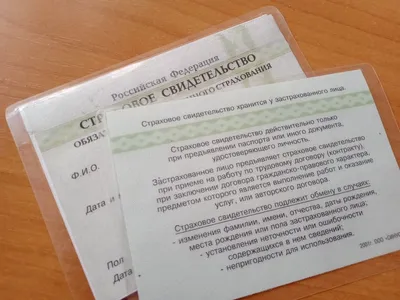 Бумажный СНИЛС заменил электронный документ » Официальный сайт  администрации городского округа Шаховская