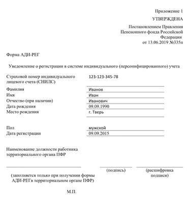 СНИЛС: что это за документ, как его получить и для чего | РБК Инвестиции