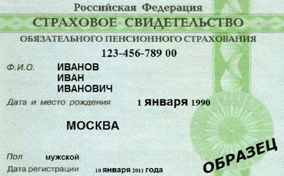 В России изменился СНИЛС. Как получить документ нового формата?: Общество:  Облгазета