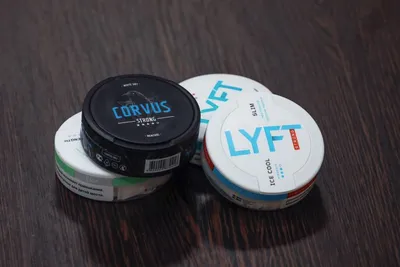 Velo Mint Ice Cool Snus Pods Pouches : Amazon.co.uk: Grocery