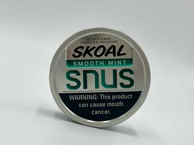 What's The Difference Between Nicotine Pouches and Snus? - TECC Blog