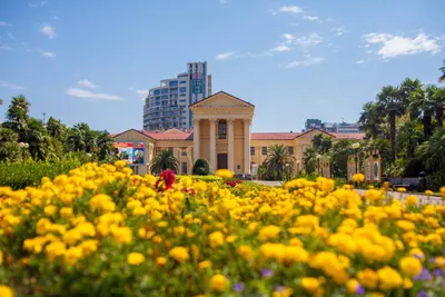 В ритме Сочи! Красоты города и окрестностей 🧭 цена экскурсии 6500 руб., 80  отзывов, расписание экскурсий в Сочи