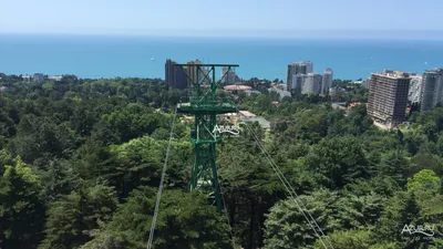 Городской квест «Сочи - город-курорт» в Сочи от «Turest In»