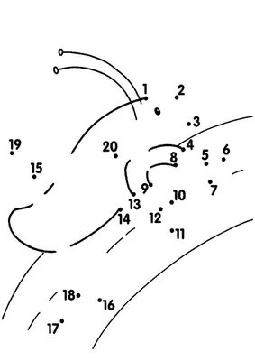 Раскраска соединить точки. Соединить точки по цифрам. Скачать раскраски  бесплатно.
