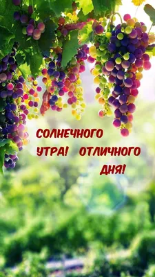 СОЛНЕЧНОГО ДНЯ И ХОРОШЕГО НАСТРОЕНИЯ\" ~ Открытка (плейкаст)