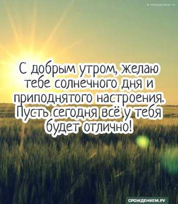 С добрым утром! Солнечного дня и чудесного настроения!