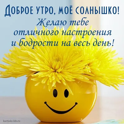 Мудрость жизни - С добрым утром, солнышко родное, С добрым утром, чистая  вода, С добрым утром, небо голубое, Утро добрым будет пусть всегда! |  Facebook