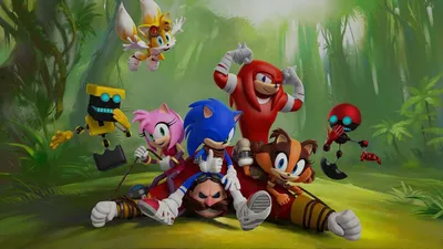 Игрушка Соник Бум: купить мягкие игрушки из мультфильма Sonic Boom в  магазине Toyszone.ru