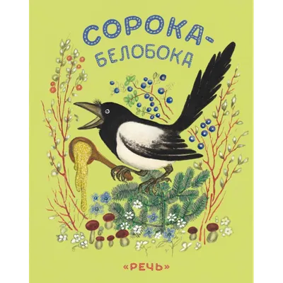 Забавная молодая сорока | Не просто о жизни | Дзен