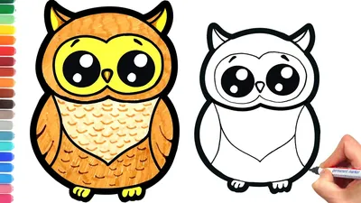 Как нарисовать сову. Простой рисунок. How to draw an owl. Simple drawing. -  YouTube