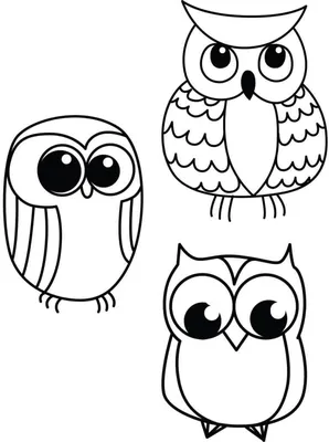 Как нарисовать сову. Лёгкий рисунок для срисовки. How to draw an Owl -  YouTube