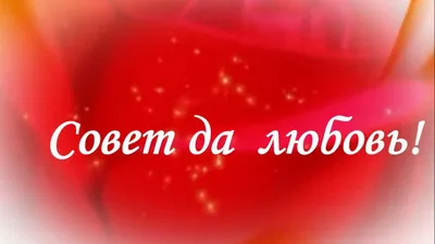 Гирлянда \"Совет да Любовь!\" кружева, 250 см 9499875 Издательская группа  «Квадра» купить по цене от 182руб. | Трикотаж Плюс | Екатеринбург, Москва