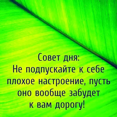 Совет дня | Пикабу