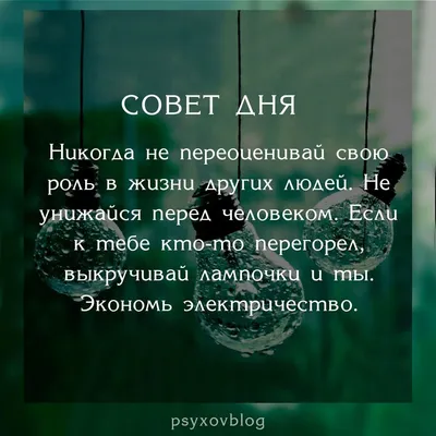 Блокнот в клетку Совет дня недатированный A5 (id 109008242), купить в  Казахстане, цена на Satu.kz