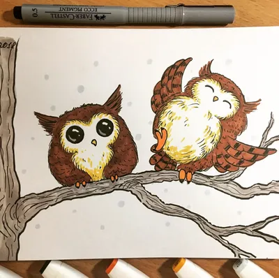 Owls. Совушки. PNG. в 2023 г | Плюшевая сова, Рисунки совы, Сова