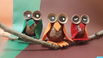 Owls. Совушки. PNG. | Картинки с совой, Татуировки с собакой, Плюшевая сова