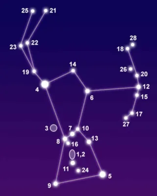 Орион меняется за 2 миллиона лет | AstroTubo | Дзен