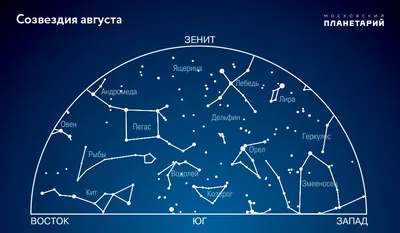 Картинки все созвездия на небе названия и (63 фото) » Картинки и статусы  про окружающий мир вокруг