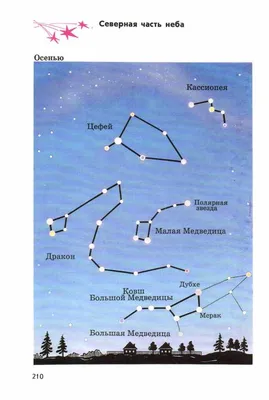 Рассказы про созвездия звездного неба для детей | Образовательная  социальная сеть