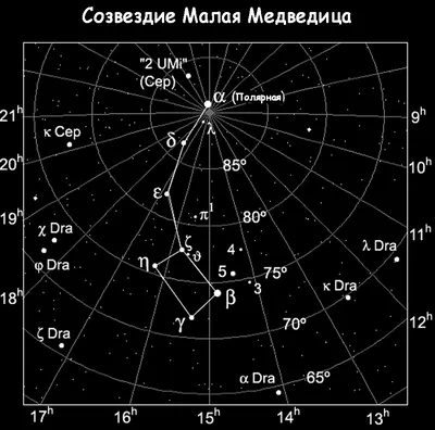 Созвездие Малая Медведица