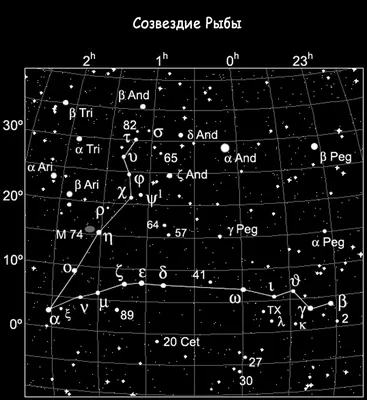 Созвездие Рыбы