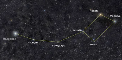 Созвездия на небе: их расположения и характеристики