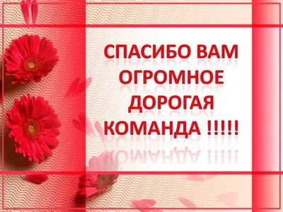 Картинки женщине с надписью спасибо что ты есть (47 фото) » Юмор, позитив и  много смешных картинок