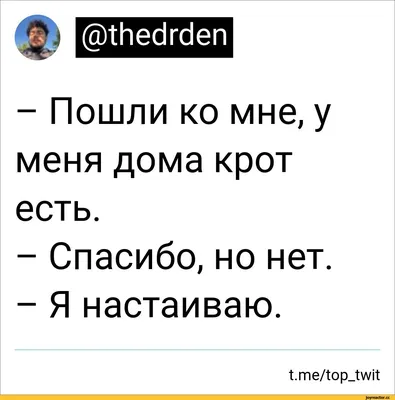 Спасибо за поддержку картинка | Смешные открытки, Открытки, Картинки