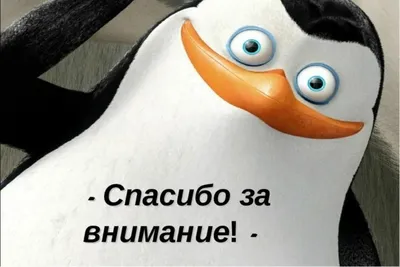 спасибо за внимание / смешные картинки и другие приколы: комиксы, гиф  анимация, видео, лучший интеллектуальный юмор.