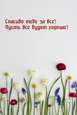 Спасибо за все что у меня есть | Вдохновляющие цитаты, Мудрые цитаты,  Мотивация