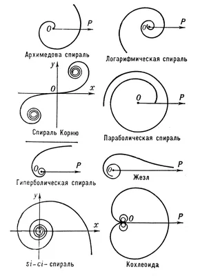 Спираль молчания: суть, теория, примеры | РБК Тренды