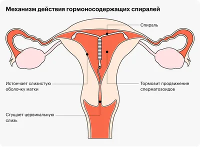 Сервировочная салфетка МУЛЬТИДОМ Спираль диаметр 30 см 3 цвета VL51-82 -  выгодная цена, отзывы, характеристики, фото - купить в Москве и РФ