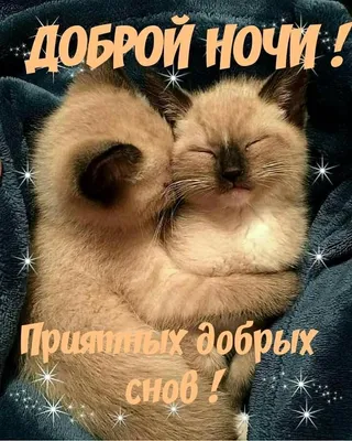 Споки-ноки» — создано в Шедевруме