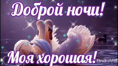 ДОБРОЙ НОЧИ! Моя хорошая! Красивое Пожелание доброй ночи Видео открытка  доброй ночи - YouTube