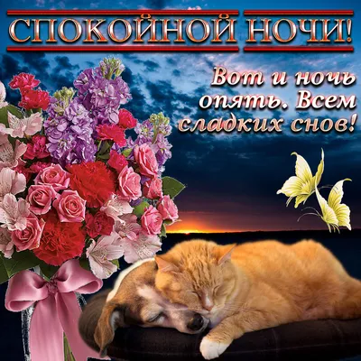 Гармония - 💖💖💖 ДОБРОЙ НОЧИ, ДРУЗЬЯ!!! ВОЛШЕБНЫХ СНОВ!!! ДО ЗАВТРА!!!  🌠🌠🌠 | Facebook