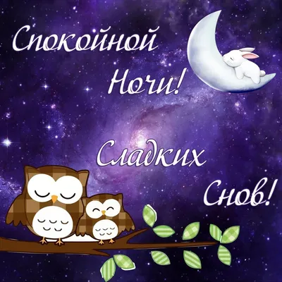 Спокойной ночи🌙 | Открытки Тедди | ВКонтакте