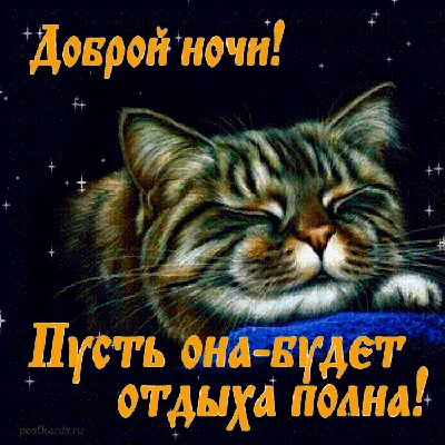 добройночи #сладкихснов ♥️#котики | TikTok