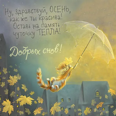 доброй ночи осенней осень саксофон｜Поиск в TikTok