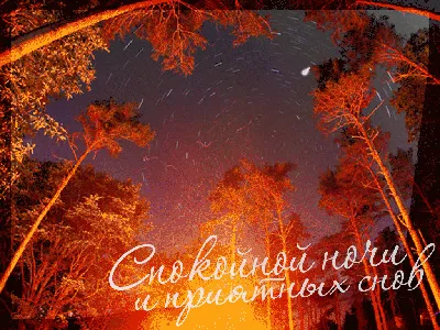 🌙 Спокойной ночи! Осень — это время теплых объятий, домашнeго уюта и  жeланий, которые воплощаются в реальность. | ВКонтакте