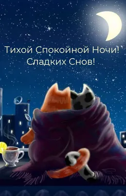 СПОКОЙНОЙ НОЧИ! 🌛🏙🌟 СЛАДКИХ СНОВ! | Ночь, Открытки, Плюшевые медведи