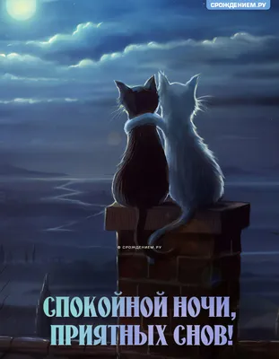 Спокойной ночи 🌙 Желаю приятных и сладких снов 🦋🦋🦋 - YouTube