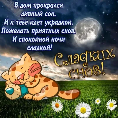 СПОКОЙНОЙ НОЧИ! 💖✨🌸💤🐈🌼🌛🌃🌜🌼🐈💤🌸✨ ПРИЯТНЫХ СНОВИДЕНИЙ! 💖 | Ночь, Спокойной  ночи, Вдохновляющие фразы