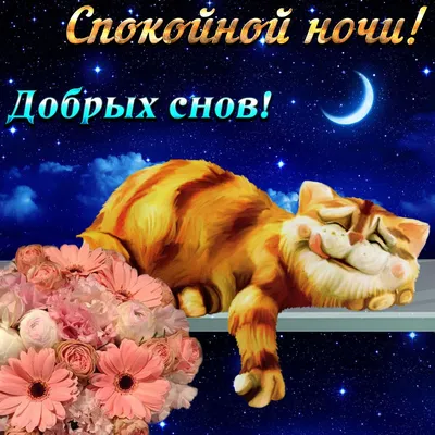 Спокойной ночи! Спокойных снов! Спокойного города!.